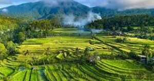 bali 1