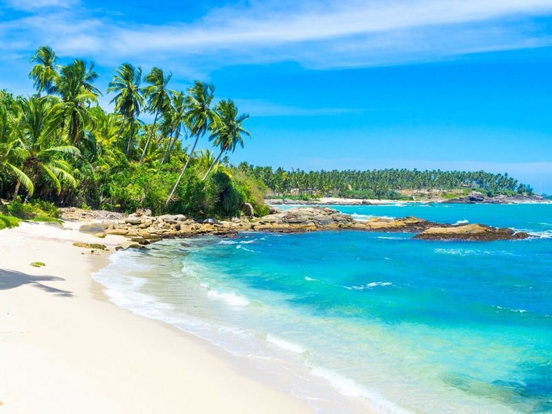 Explore The Sri Lankan Culture