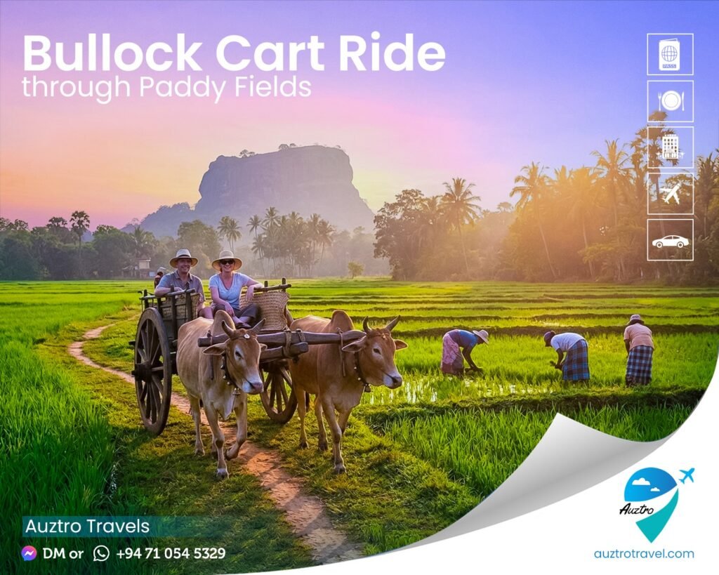 Experience Authentic Sri Lankan Rural Life ๐พ whatsapp image 2026 01 14 at 21.05.32