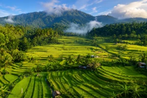 chatgpt image jun 2, 2026, 12 43 42 am